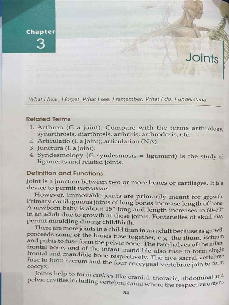 Joints | PDF
