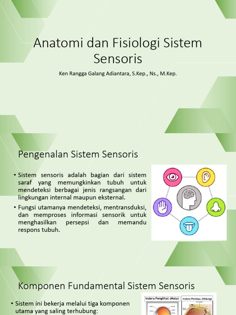 Anatomi dan Fisiologi Sistem Sensoris | PDF
