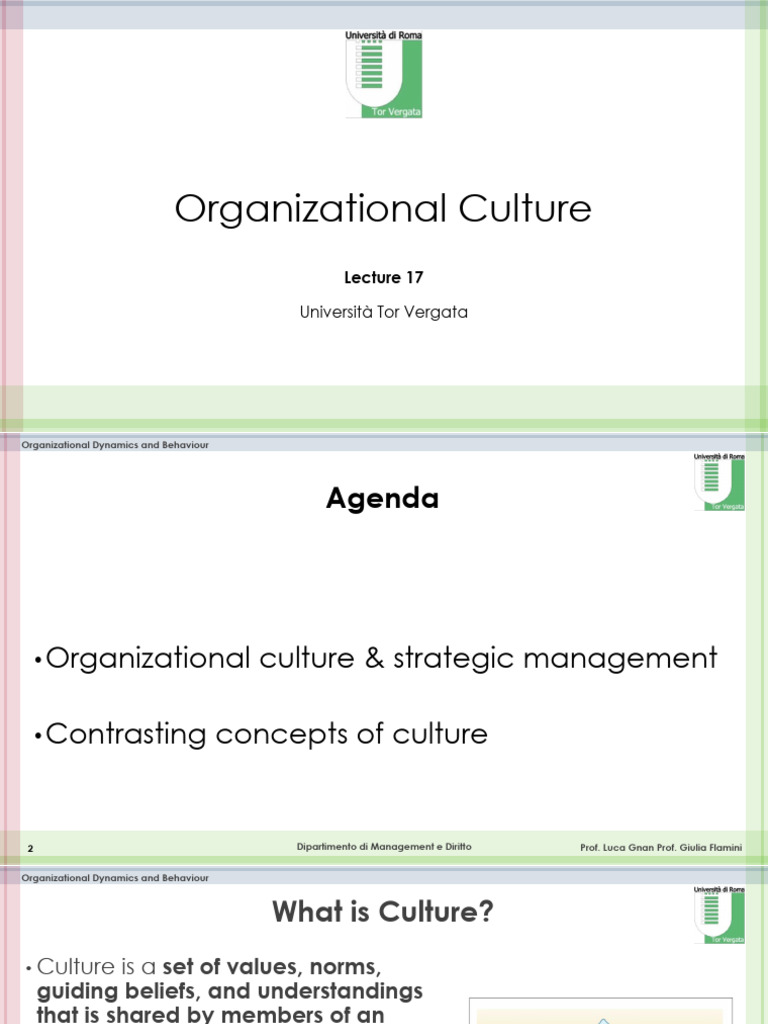 Understanding Organizational Culture Dynamics | PDF | Organizational ...