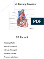 Penyakit Jantung Bawaan