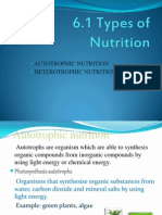 Types of Nutrition