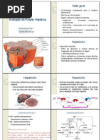 função hepatica