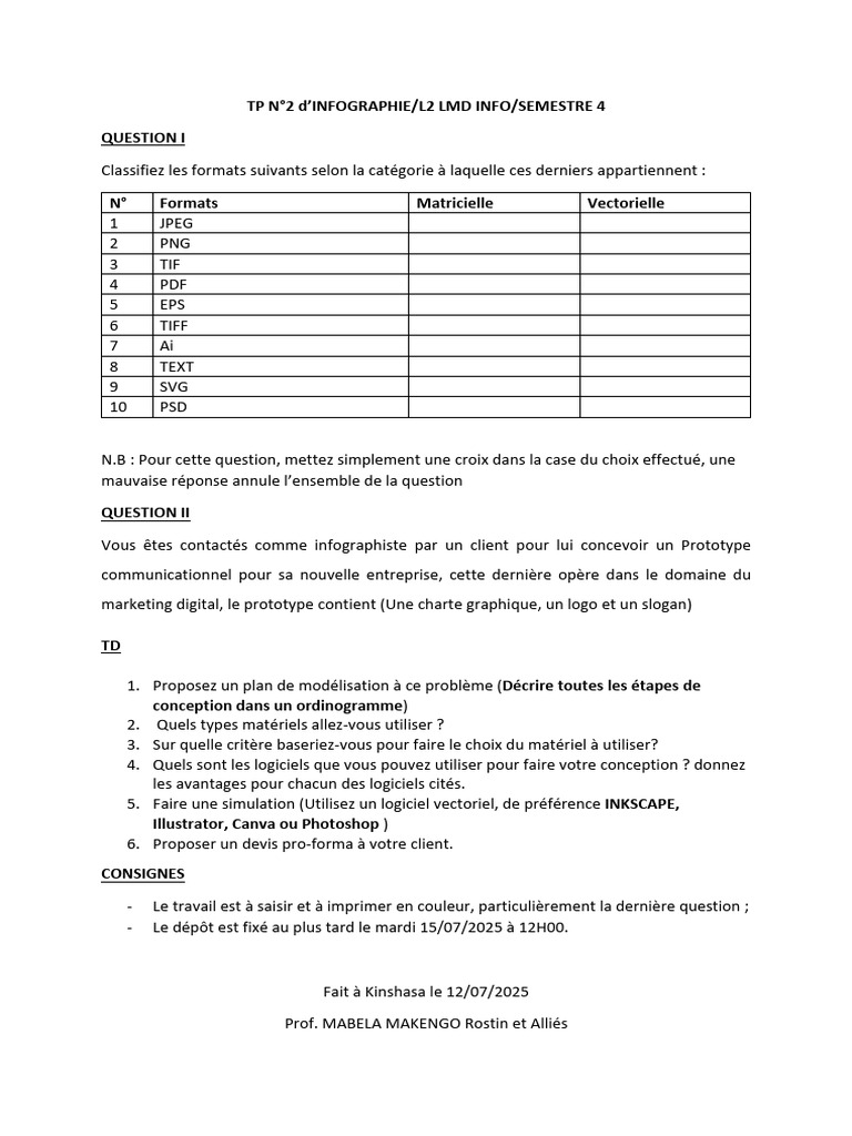 Classification des formats graphiques et projet | PDF