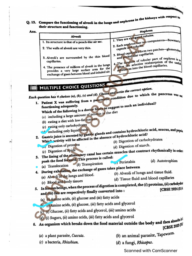 Life Procees Imp Questions | PDF
