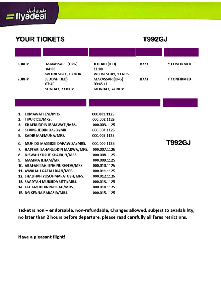 Flight Itinerary and Ticket Details | PDF