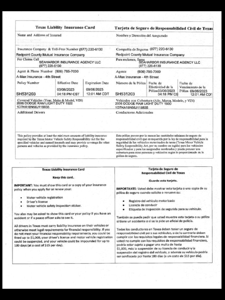 Angel Insurance | PDF