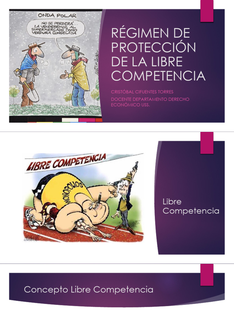 Régimen de Protección y Libre Competencia | PDF | Mercado (economía ...
