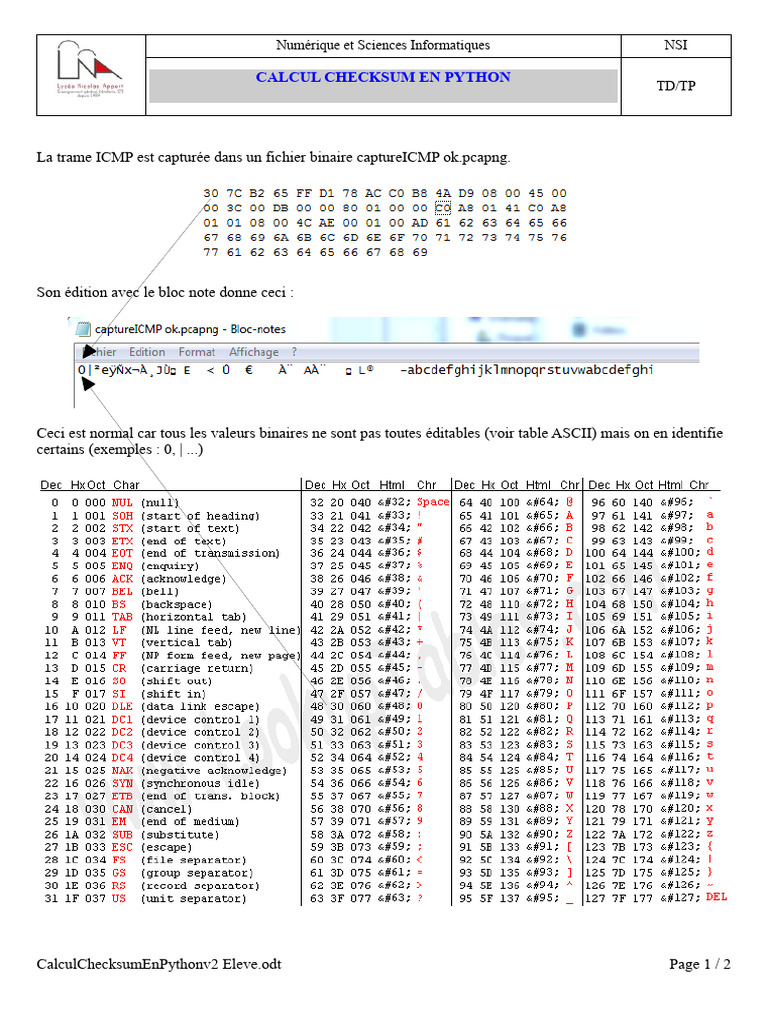 Calcul du Checksum ICMP en Python | PDF
