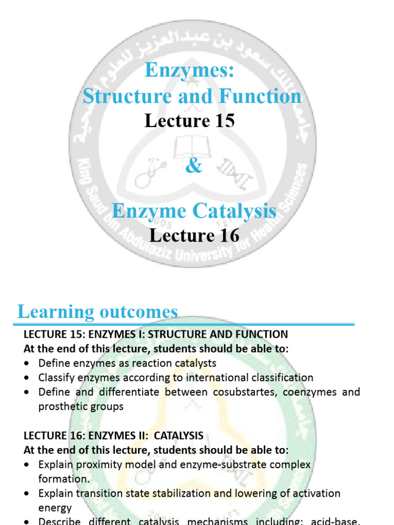 Enzyme Structure and Catalysis Explained | PDF | Enzyme | Active Site