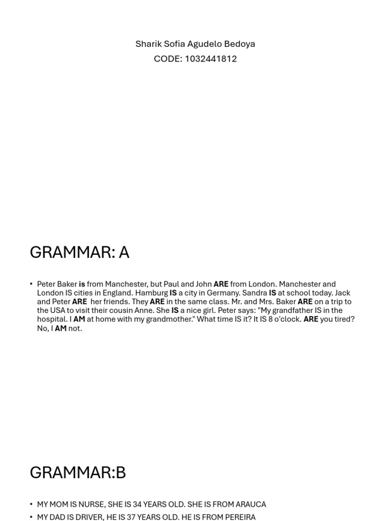 English Grammar Exercises for Beginners | PDF
