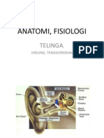 Anatomi Fisiologi THTX