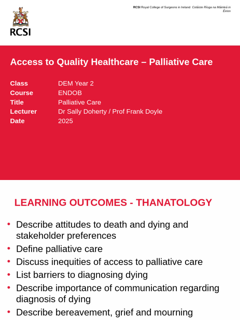 Palliative Care Access and Challenges | PDF | Grief | Palliative Care