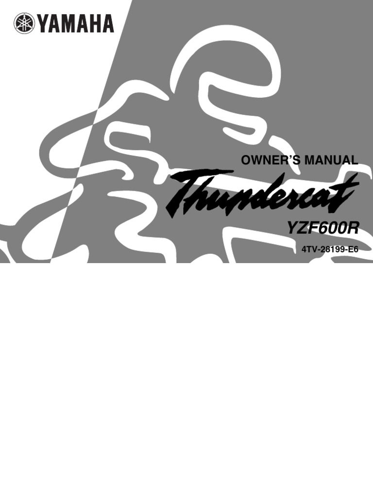 YAMAHA YZF 600 THUNDERCAT WORKSHOP MANUAL PDF visual data 2
