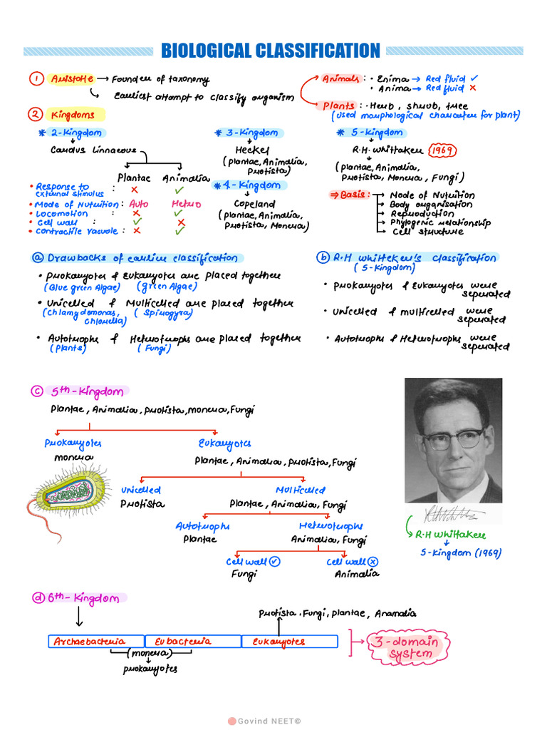 Notes Biological Classification | PDF