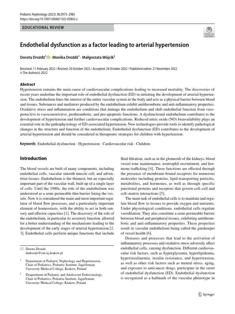 Endothelial Dysfunction and Hypertension | PDF | Endothelium | Blood Vessel