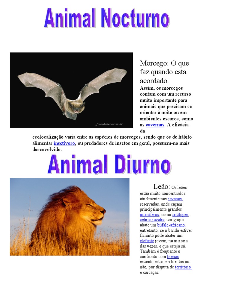 Animais Diurnos e Noturnos: Exemplos | PDF | Ficção Geral
