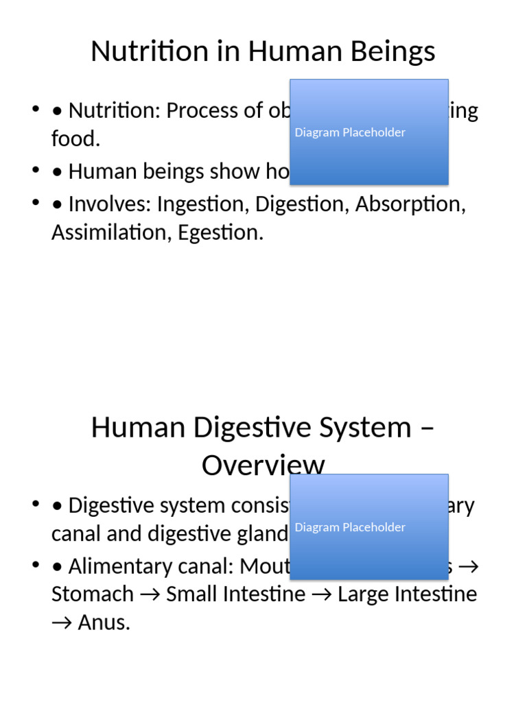 Nutrition and Digestive System Class10 | PDF | Digestion | Human ...
