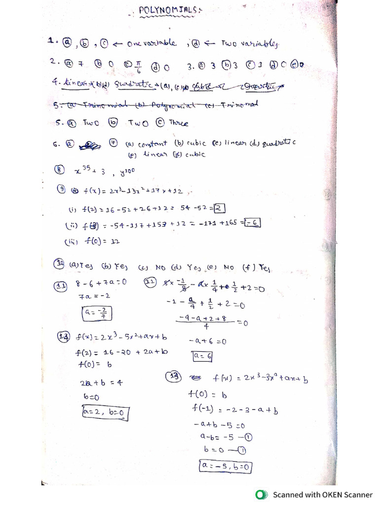 Polynomials Dpp-01 Solutions | PDF