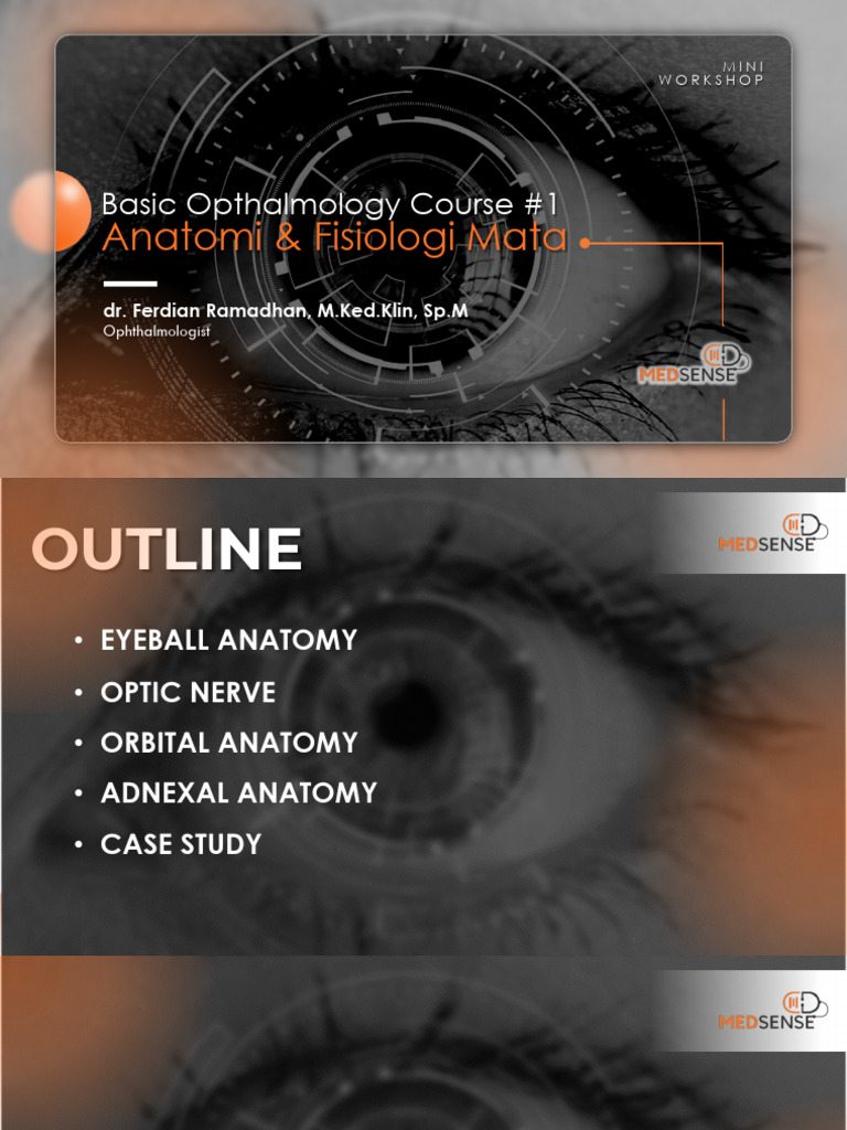 Basic Ophthalmology: Eye Anatomy Workshop | PDF | Cornea | Retina