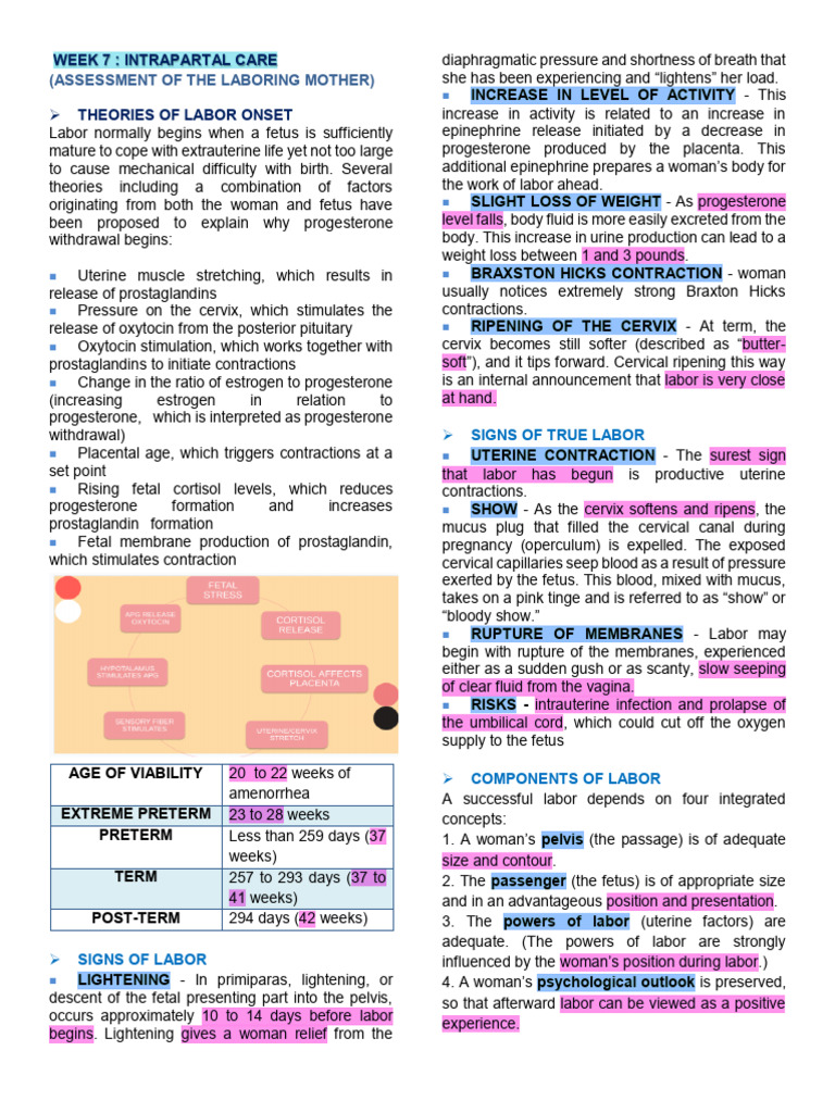 Intrapartal Care: Labor Assessment Guide | PDF | Childbirth | Uterus