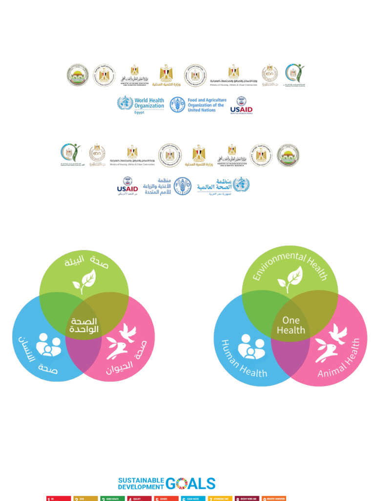 Logos | PDF