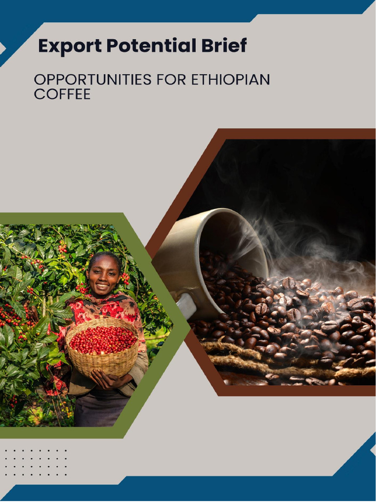 Ethiopia's Coffee Export Trends Analysis | PDF | Coffee | Ethiopia
