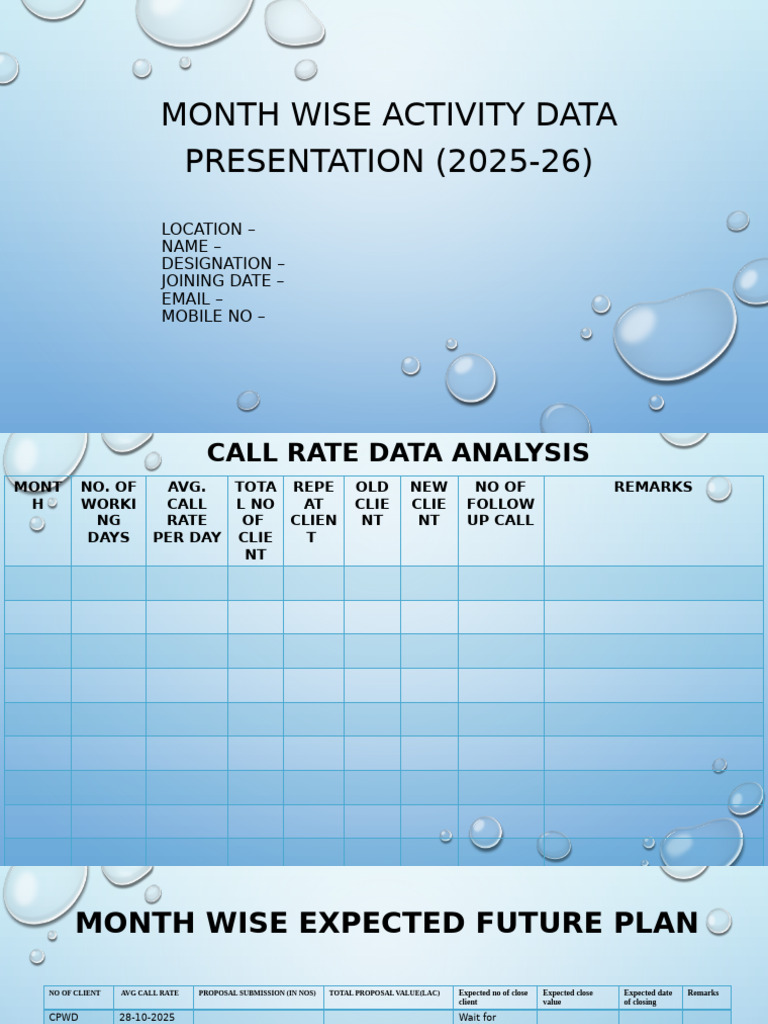 Sales Data Presentation | PDF