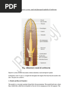 Earthworm Anatomy: Gizzard, Intestine, Pharynx | PDF | Epithelium | Biology