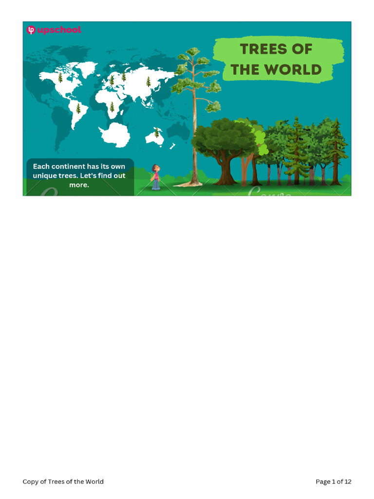 Trees of The World | PDF