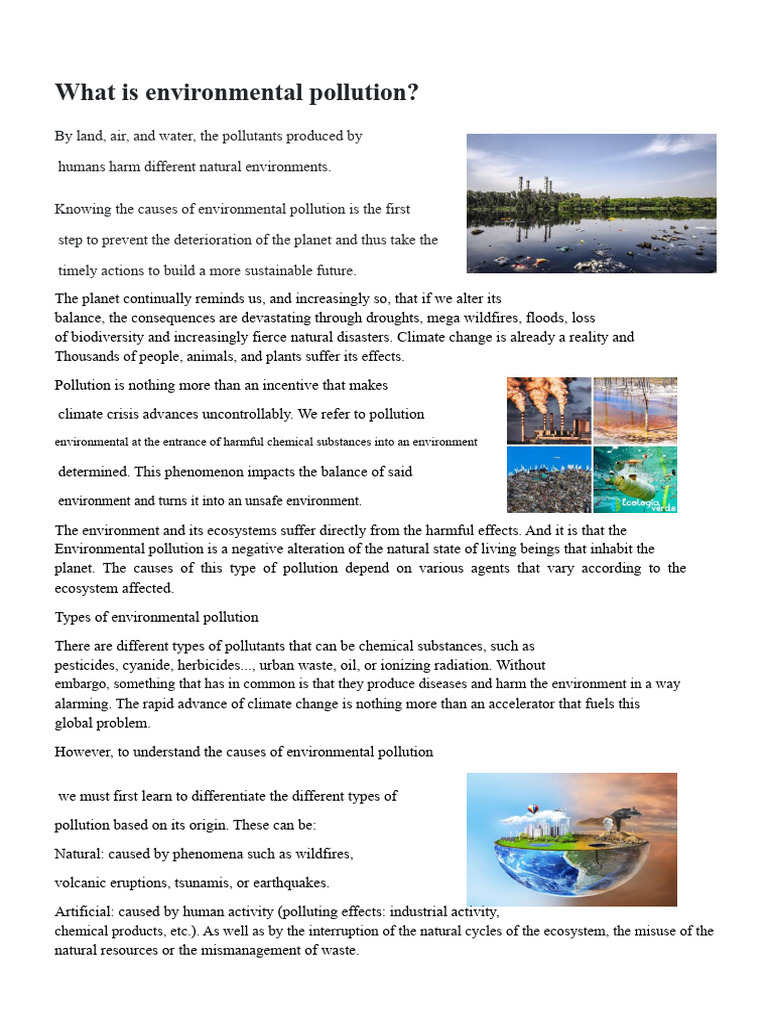 What Is Environmental Pollution | PDF | Pollution | Water Pollution