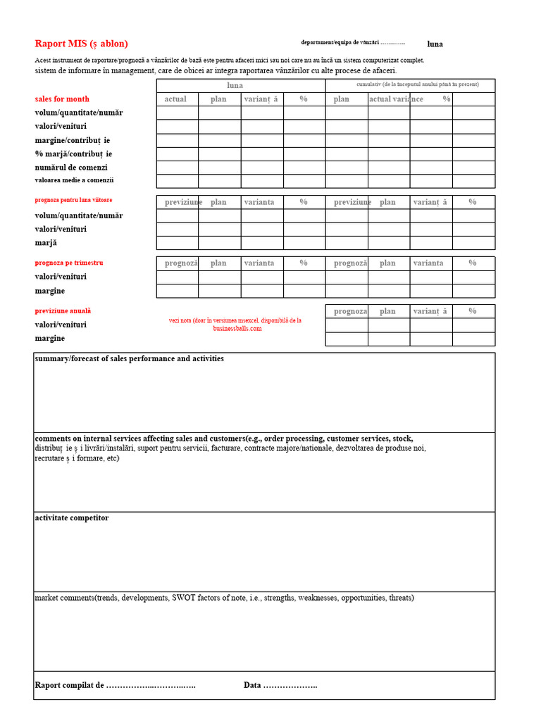 Format Raport MIS În Excel | PDF