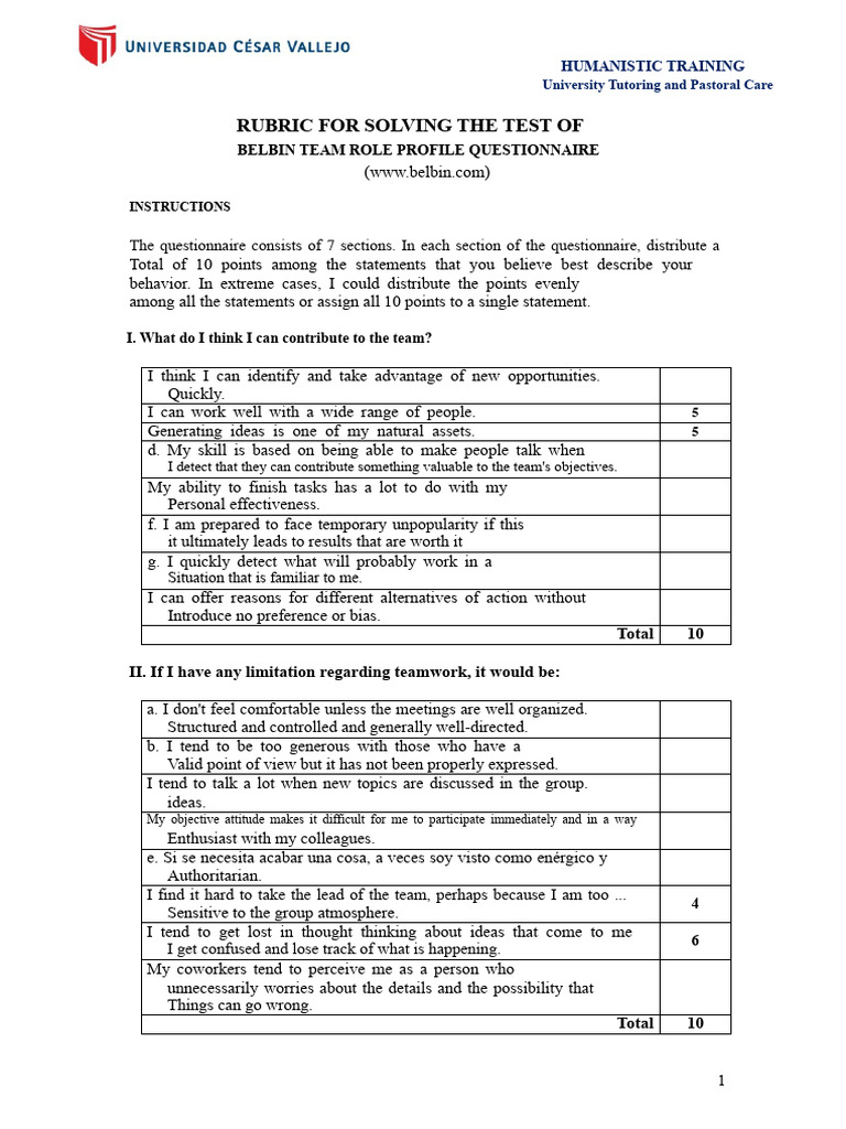 Belbin Team Role Questionnaire Guide | PDF | Procedural Knowledge ...