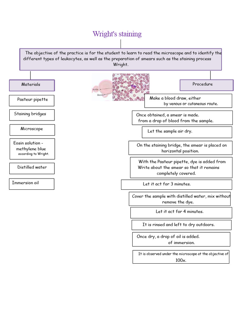 Wright Diagram | PDF