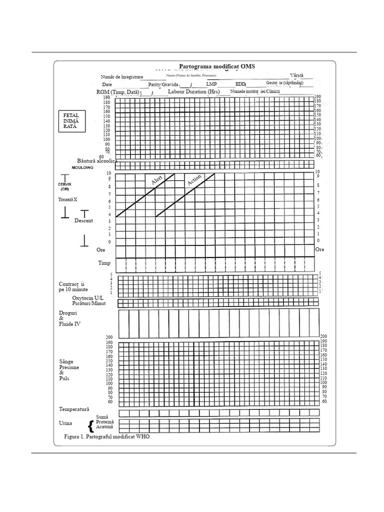 Formular Partograf | PDF