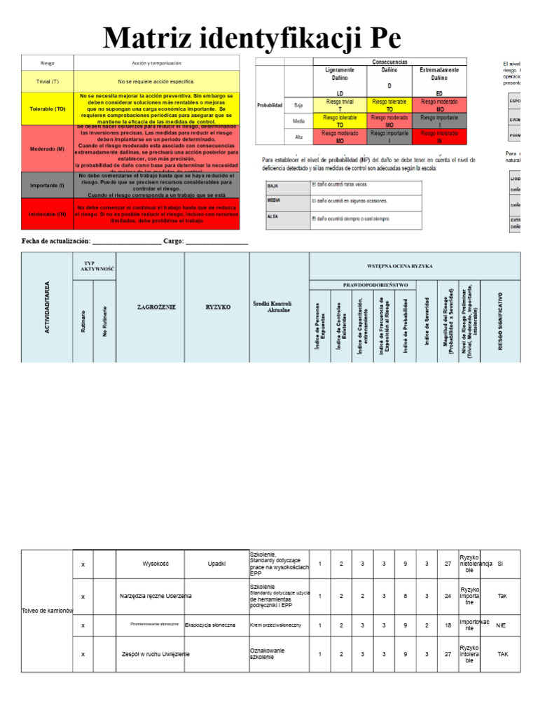 Matriz IPER-1 | PDF