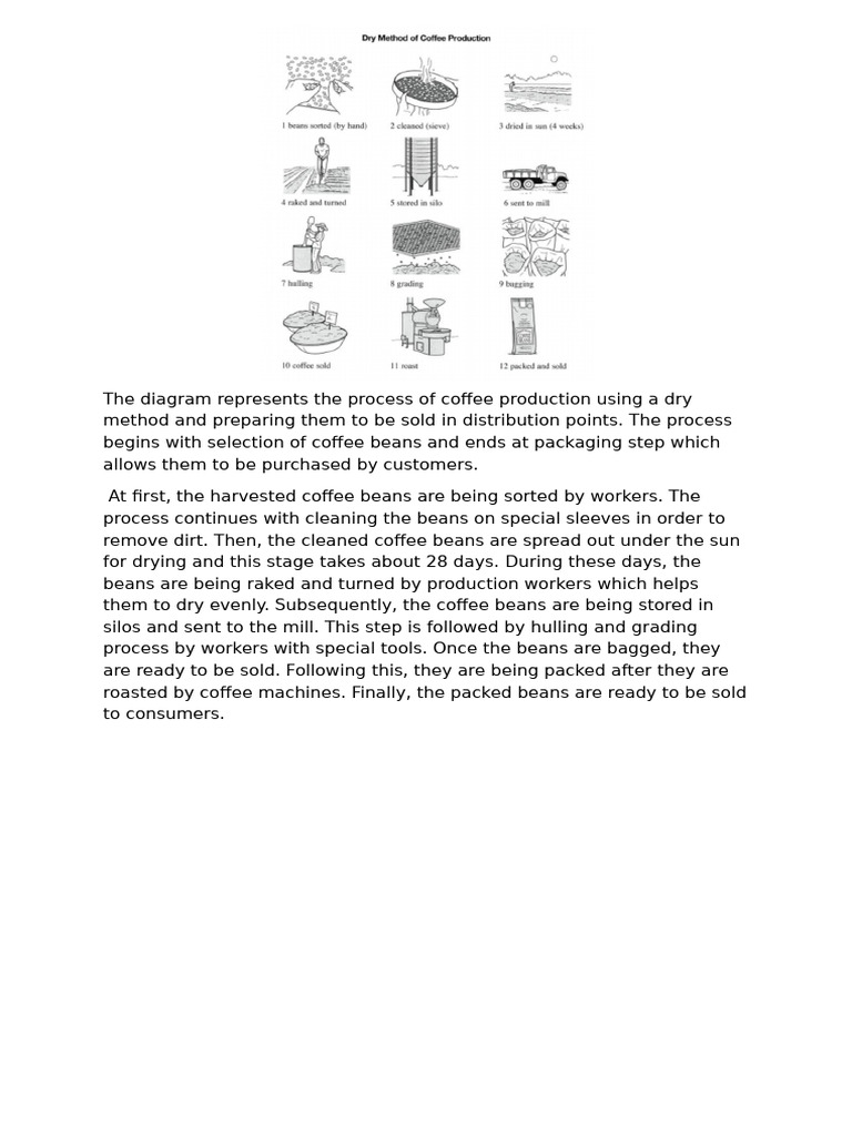 Dry Method of Coffee Production | PDF