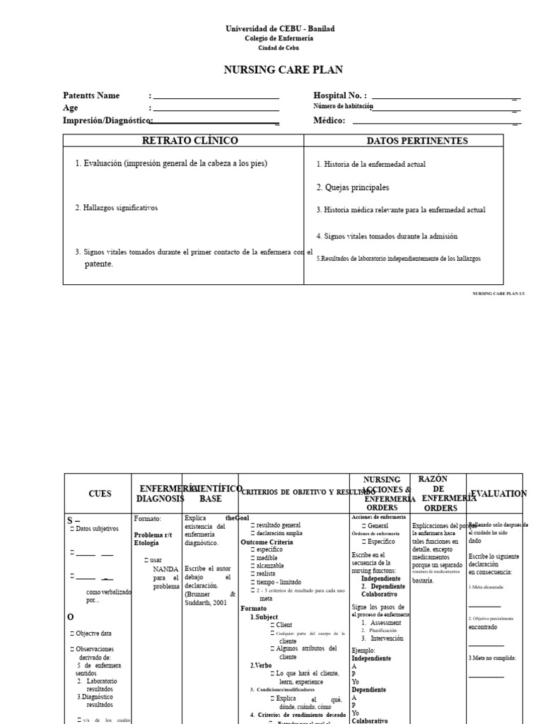 Plan de Cuidado de Enfermería | PDF | Enfermería | Ciencias de la Salud