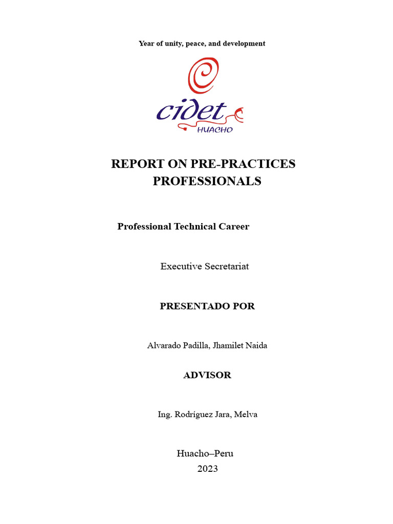 UGEL Bolognesi Pre-Professional Report | PDF | Microsoft Excel ...