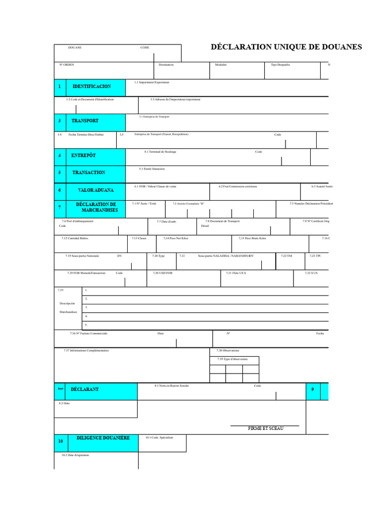 Déclaration Unique de Douanes: Guide Complet | PDF