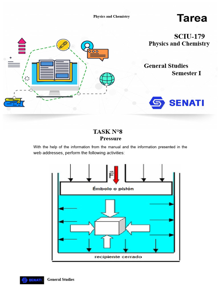 Understanding Pressure and Pascal's Principle | PDF | Pressure | Liquids