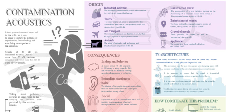 Understanding Acoustic Pollution Sources | PDF | Noise | Sound