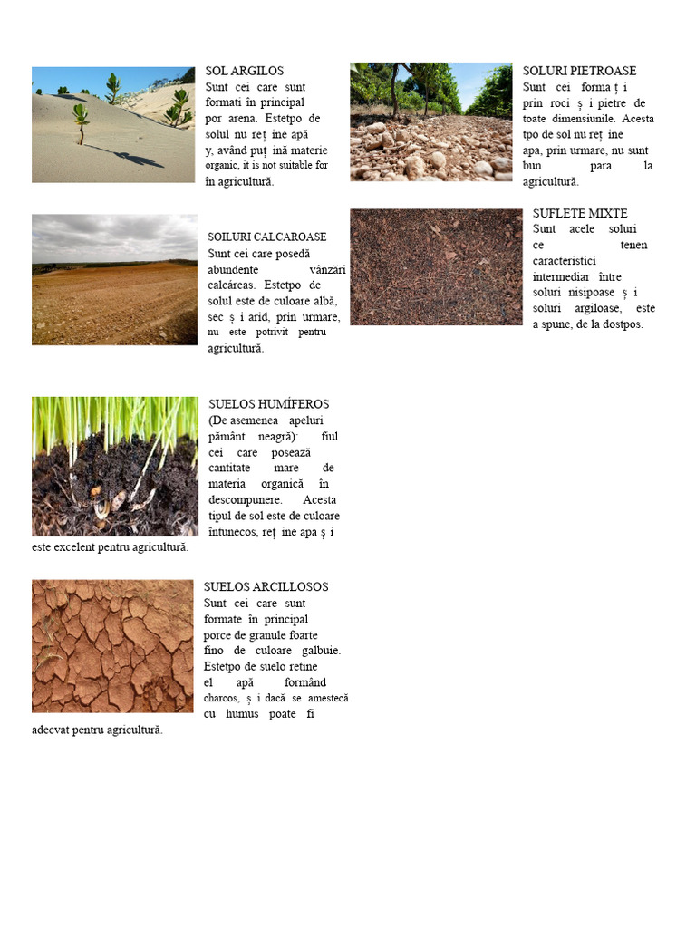 Tipuri de Soluri | PDF
