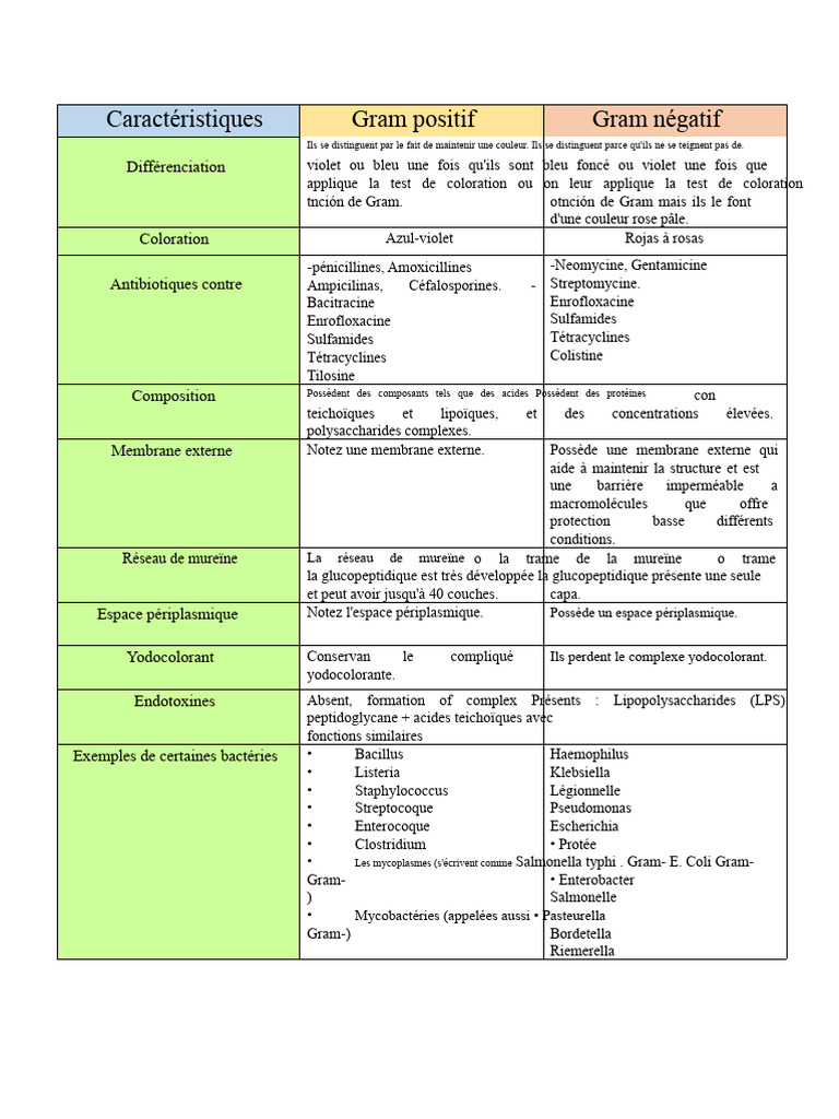 diff-rences-entre-bact-ries-gram-et-gram-pdf-gram-n-gatif