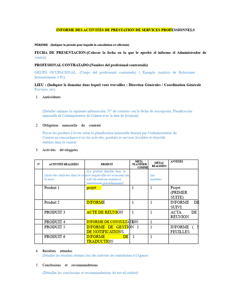 Rapport d'activités de services professionnels | PDF