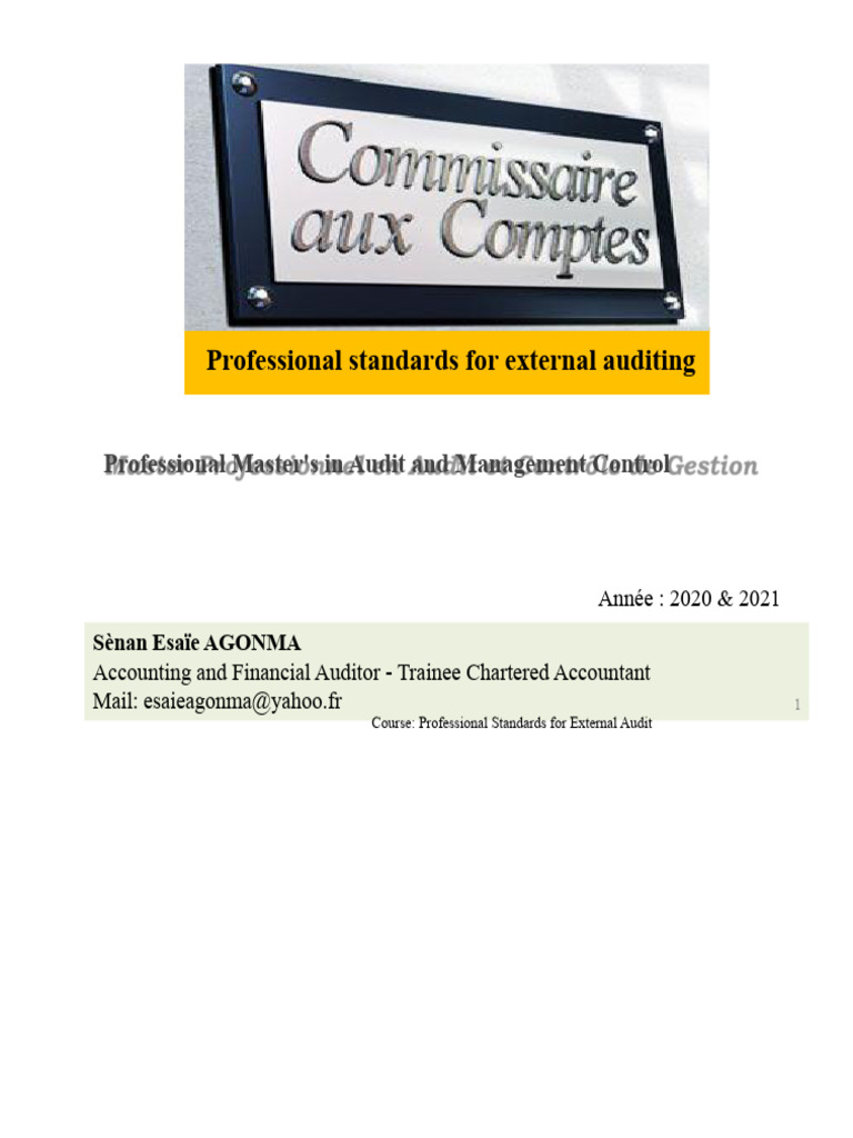 Professional Standards For External Audit | PDF | Audit | Internal Audit