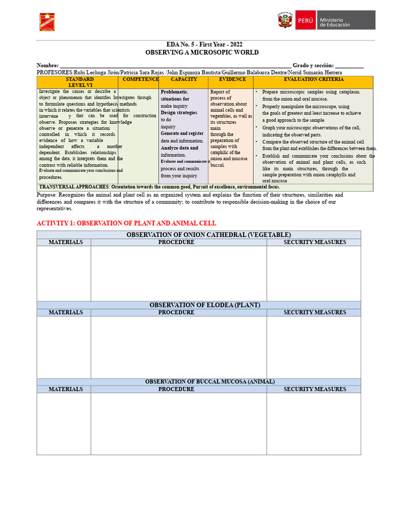 Microscopic Observation of Cells 2022 | PDF | Scientific Method ...