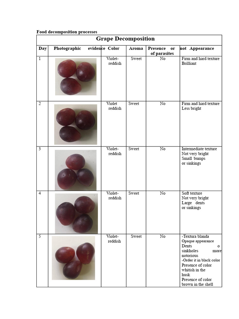 Grape Decomposition Stages and Signs | PDF | Grape | Wine