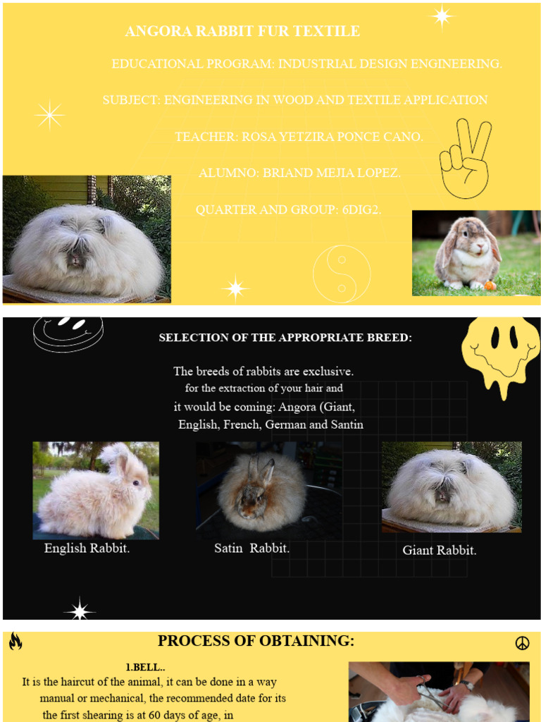 Angora Rabbit Fur Textile Guide | PDF | Wool