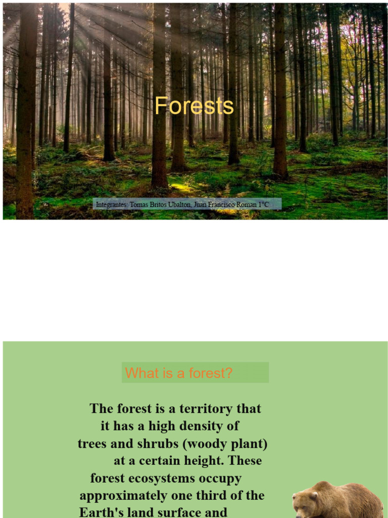 Understanding Forest Ecosystems and Types | PDF | Forests | Trees