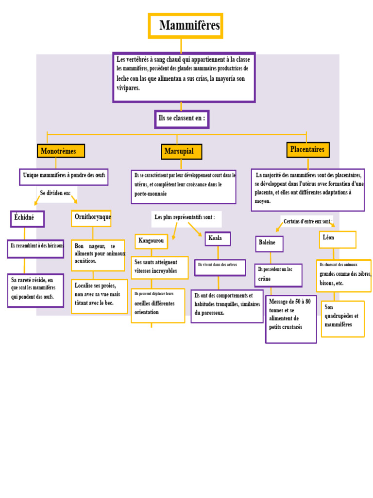 Classification des Mammifères Types et Caractéristiques PDF — free download